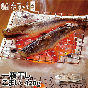 銱܂ 420g