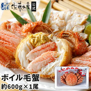 {CъI 600g×1