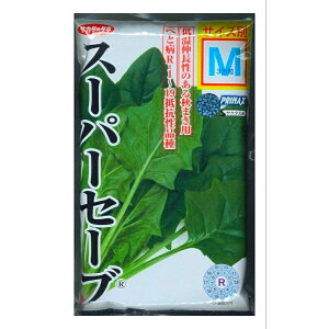 y X[p[Z[u z zE\E @@ ق񂻂  q TJ^̃^l PRIMAX