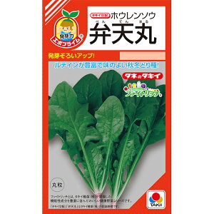 y ٓV z zE\E @@ ق񂻂  q ^LCc t@Cgb`