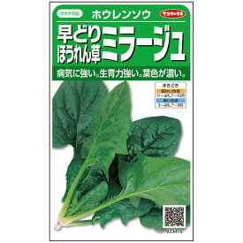 【 ミラージュ 】 ホウレンソウ ほうれんそう 法蓮草 種 種子 サカタのタネ 小袋 営利用