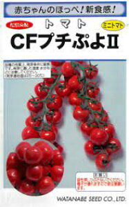 CFv`Ղ2 ~jg}g ~jg}g̎ nӍ̎