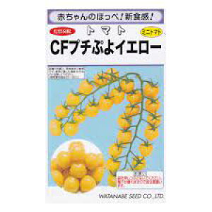 CFv`ՂCG[ ~jg}g nӍ̎ ~jg}g̎ CG[