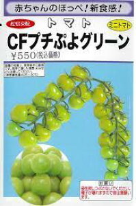 CFv`ՂO[ ~jg}g nӍ̎ ~jg}g̎ O[
