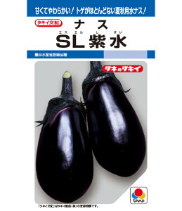 SL ۉ֎q iX iX̎ ֎q̎ ^LCc
