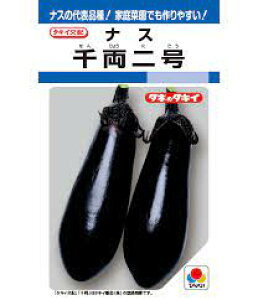 痼 iX ֎q̎ iX̎ ^LCc