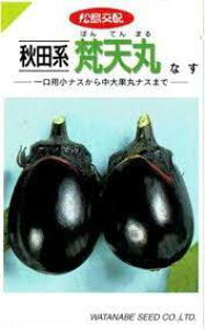 V ۉ֎q ۃiX Hcn ֎q̎ iX̎ nӍ̎