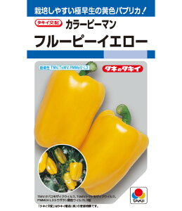 t[s[CG[ pvJ J[s[} pvJ̎ ^LCc