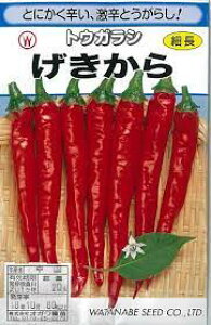  gEKV Ƃ炵 Ƃ炵̎ nӍ̎