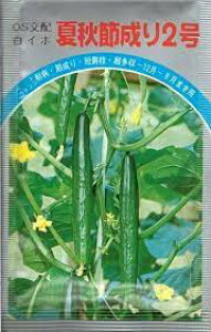 ďHߐ2 LE LE̎ イ ʌ