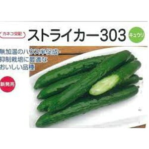 XgCJ[303 LE LE̎ イ JlRc