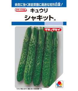 VLbg LE LE̎ イ ^LCc