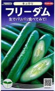 t[_ LE LE̎ イ TJ^̃^l ܖ18