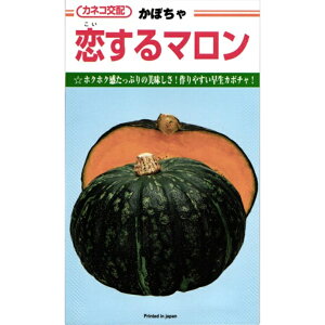 } J{` Z J{`̎ Z̎ JlRc