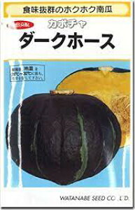 _[Nz[X J{` Z J{`̎ Z̎ nӍ̎