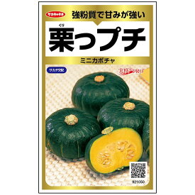 栗っプチ（旧商品名：栗坊） ミニカボチャ ミニカボチャの種 南瓜の種 かぼちゃの種 サカタのタネ