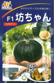 坊ちゃん ミニカボチャ カボチャの種 南瓜の種 かぼちゃの種 ヴィルモランみかど 約8粒