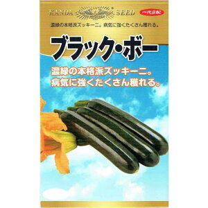 �y�u���b�N�E�{�[�z �u���b�N�{�[ �Y�b�L�[�j �Y�b�L�[�j�̎� �_�c���