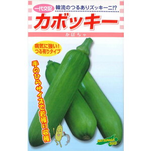 yJ{bL[z 邠YbL[j ؍ڂ YbL[j YbL[j̎ ؍J{`̎