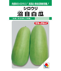 yڔZz Z VE Z̎ VE̎ ^LCc