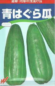 y͂Zz Z̎ ЂZ̎ E̎ nӔ_
