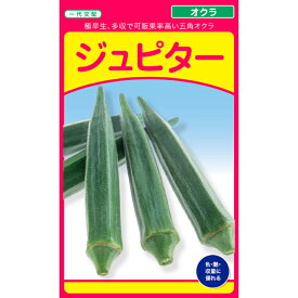 【ジュピター】 オクラ 五角オクラ 種 武蔵野種苗園 オクラの種