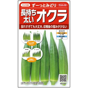 【 ずーっとみどり 】 オクラ 種 オクラの種 サカタのタネ