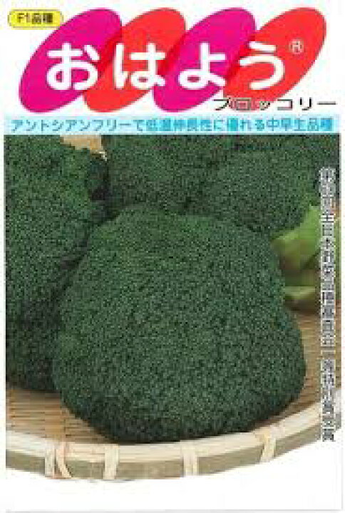 楽天市場】【 おはよう 】 ブロッコリー 種 ブロッコリーの種 サカタの 