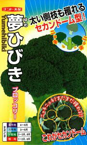 y Ђт z ubR[  ubR[̎ igc