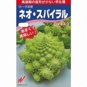 y lIXpC z }lXR  lIEXpC }lXR̎ Jt[ nӔ_ ܖ20