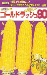 �y �S�[���h���b�V��90 �z �g�E�����R�V �� �g�E�����R�V�̎� �Ƃ����낱�� �T�J�^�̃^�l