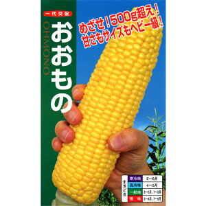 y  z gERV  gERV̎ Ƃ낱 igc