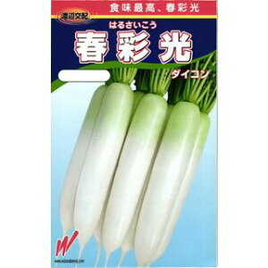 y tʌ z 卪  卪̎ _CR  nӔ_