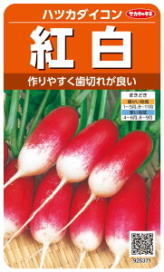 y g z ͂卪  \卪 ncJ_CR TJ^̃^l