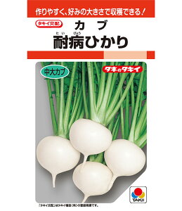 y ϕaЂ z Ju    q ^LCc