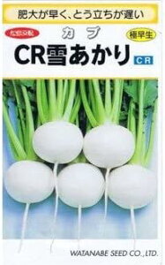 y CRႠ z Ju    q nӍ̎