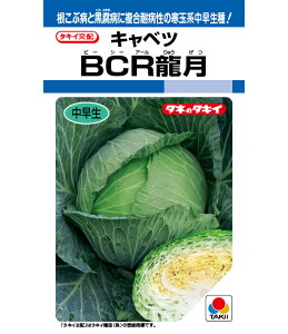 y BCR z Lxc  Lxc̎ ^LCc