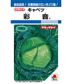 【 彩音 】 キャベツ 種 キャベツの種 種子 タキイ種苗