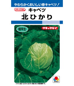 y kЂ z Lxc  q Lxc̎ ^LCc