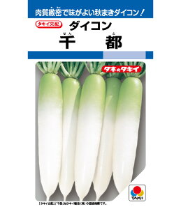 y s z 卪  卪̎ q _CR 卪  ^LCc