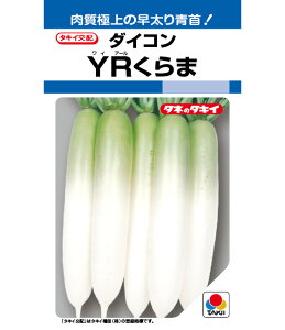 y YR z 卪  卪̎ q _CR 卪 ^LCc