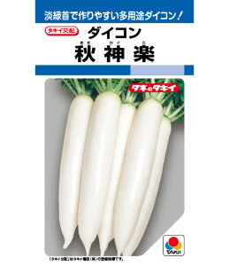 y H_y z 卪  卪̎ q _CR ^LCc