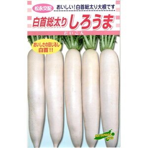 y 낤 z 卪  卪̎ q _CR 卪  ł ic