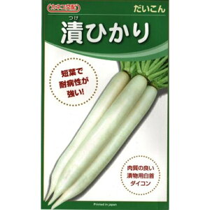 y ЂЂ z 卪  卪̎ q 卪 Е JlRc