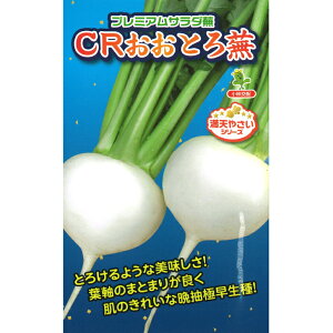 y CRƂ땓 z   q Ju  юc  2ml