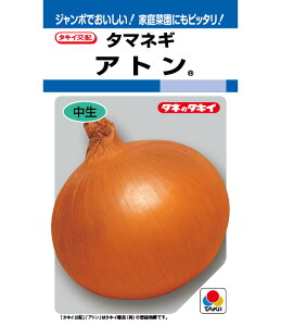 y Ag z ʔK  q ʂ˂̎ ʂ˂ ^}lM ܂˂  ^LCc