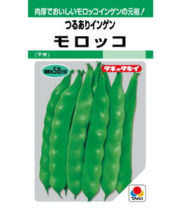 y bR z 邠CQ CQ ؓ CQ 񂰂   ^l  ^LCc