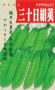 y dO\ z GhE GhE} 氓 GhE ǂ ʂ₦ǂ   ^l