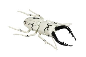 RV[Y No.2201 Egb NK^V GLOdl vf 