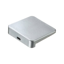 サンワサプライ L字型 セキュリティスロット増設パーツ（eセキュリティ） SLE-19PK 送料無料